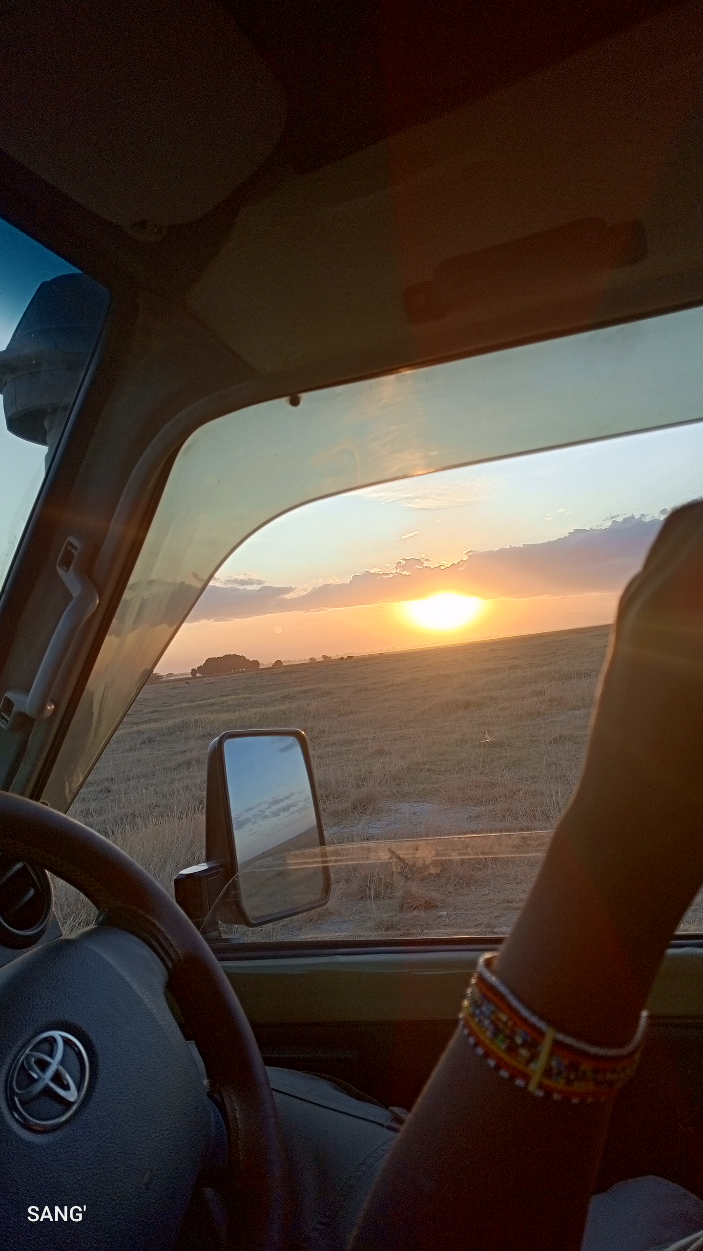 Full Day in Masai Mara